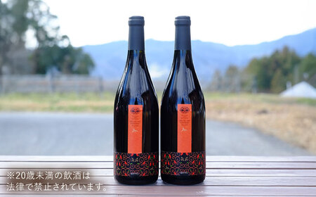 赤ワイン 奥出雲葡萄園 杜のワイン赤 赤ワイン2本セット 750ml×赤ワイン2本 辛口赤ワイン