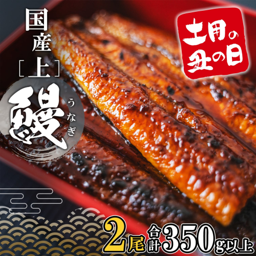 K2185 国産 うなぎ 蒲焼 2尾 (350g以上) タレ 山椒付き