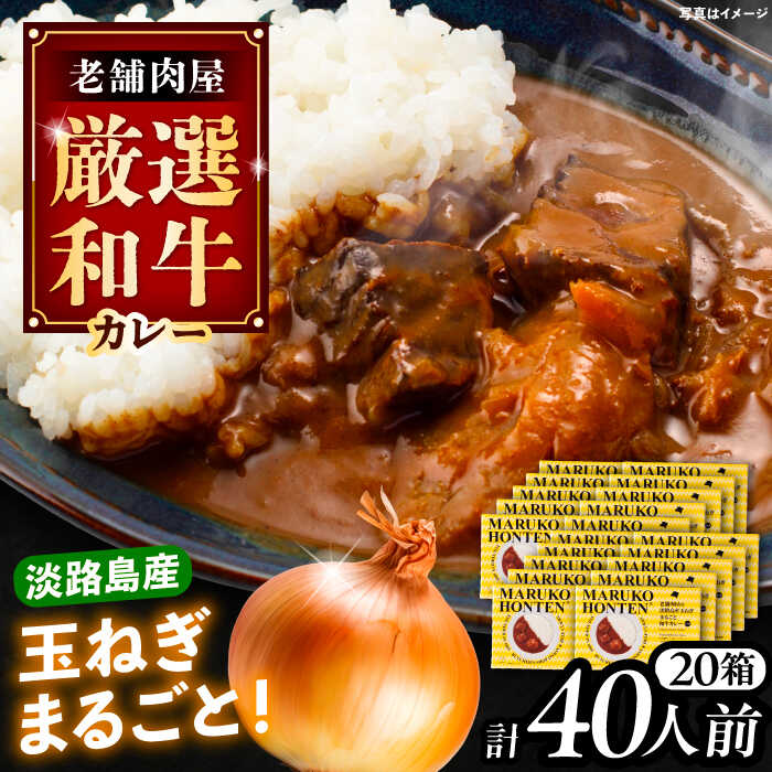 【ふるさと納税】丸小本店 老舗肉屋の淡路島産の玉ねぎまるごと和牛カレー 2人前450g×20個セット レトルト ビーフカレー 国産牛 恵那市 / テンポイント[AUFN017]