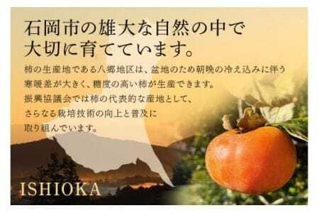 【令和7年分 先行予約】八郷柿出荷組合の 富有柿 2L 28玉 柿 皇室献上柿 かき 富有カキ ( 2段 1箱 ) 果物 フルーツ くだもの カキ 富有かき 秋 旬 高級 糖度 贈答用 贈答品 ギフト