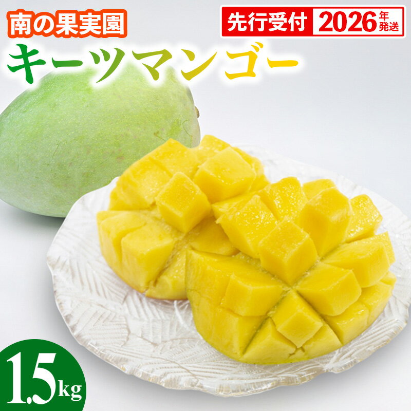 【ふるさと納税】【先行受付】【2026年発送】南の果実園 キーツマンゴー 1.5kg（2玉） - 先行予約 沖縄 産地直送 南国フルーツ 旬の味覚 沖縄県産 国産マンゴー 希少種 季節の果物 沖縄県 八重瀬町