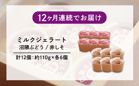 【全12回定期便】沼南ミルクジェラート 沼隈ぶどう＆赤しそ　各6個　食べ比べセット　アイス  ぶどう 赤しそ アイス アイスクリーム デザート スイーツ ご当地 広島県福山市/甚ごろう[BAEC052