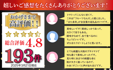 【ふるなびWEEK対象】高糖度で甘～い！フルーツトマト「太陽のめぐみ」1kg ALPBI001 | 高糖度  おすすめ 産地直送 新鮮 フレッシュ 高栄養素 南アルプス市 山梨 |