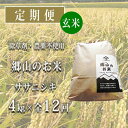 【ふるさと納税】秋田県産ササニシキ（玄米）郷山のお米4kg（2kg×2袋）×12ヶ月定期便（12回 12ヵ月）　【定期便・ササニシキ 玄米 お米】