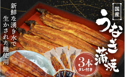 国産うなぎ蒲焼 (3本) タレ付 /  和歌山 田辺市 国産 国産うなぎ 国産鰻 うなぎ 鰻 蒲焼 かば焼き 土用の丑の日 冷凍【ots017】