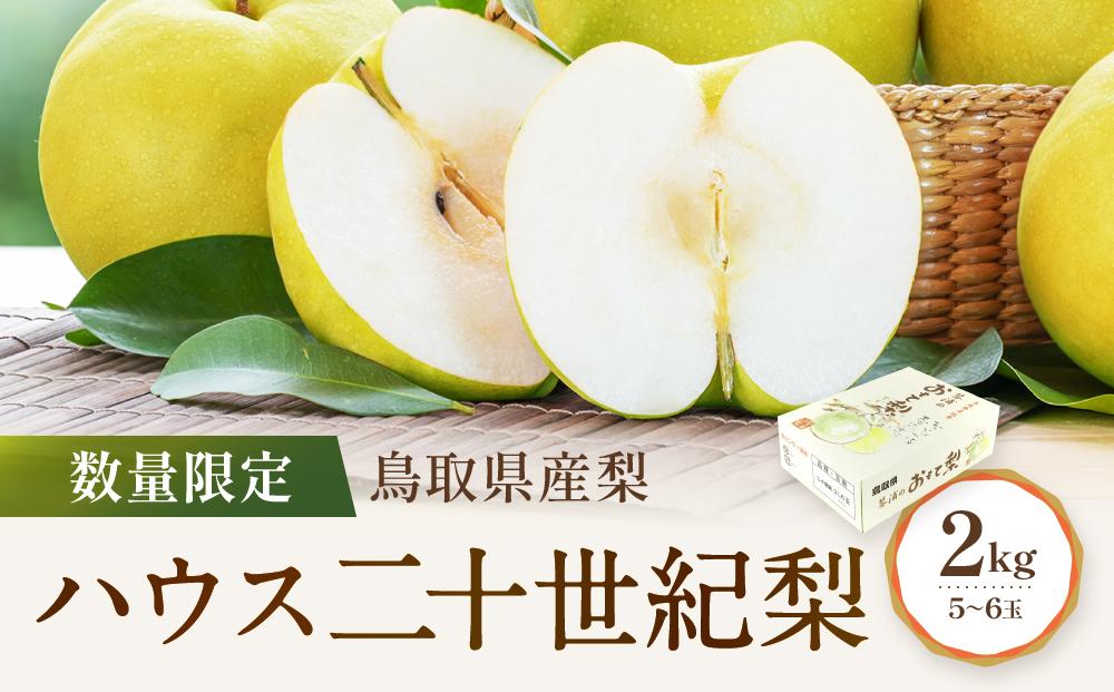 【先行予約】数量限定 鳥取県産梨 ハウス二十世紀梨 2kg（5～6玉）