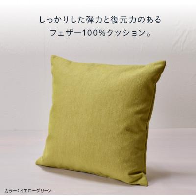 ふるさと納税 石狩市 blocco フェザー100% クッション(65cm×65cm)37 460117 イエローグリーン |  | 02