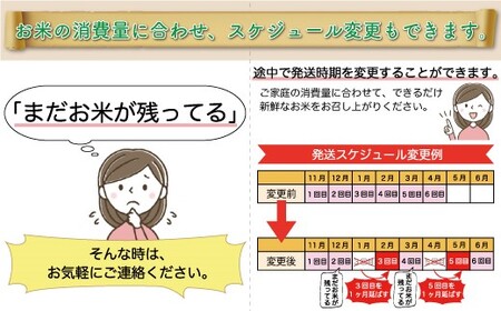 ＜令和7年産米先行受付＞ 令和8年4月下旬より発送 真室川町産 はえぬき【白米】30kg定期便 (5kg×6回)　◆YYR7H3005M-H2604C