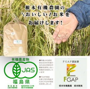 【令和6年産】南相馬・根本有機農園のJAS有機米天のつぶ10kg（白米）【3004401】