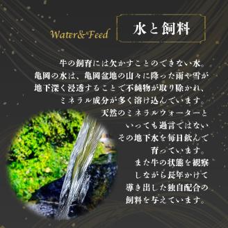 ＜亀岡牛専門店（有）木曽精肉店＞「亀岡牛赤身 すき焼き 用 」1kg ※冷凍（冷蔵も指定可） ☆祝！亀岡牛 2023年最優秀賞（農林水産大臣賞）受賞