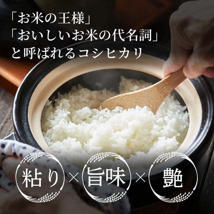 鳥取県産  コシヒカリ 令和7年産 精米済 20kg（5kg×4袋）