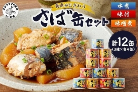 缶詰 サバ缶（3種）12缶セット 缶詰 鯖 さば【B2-107】