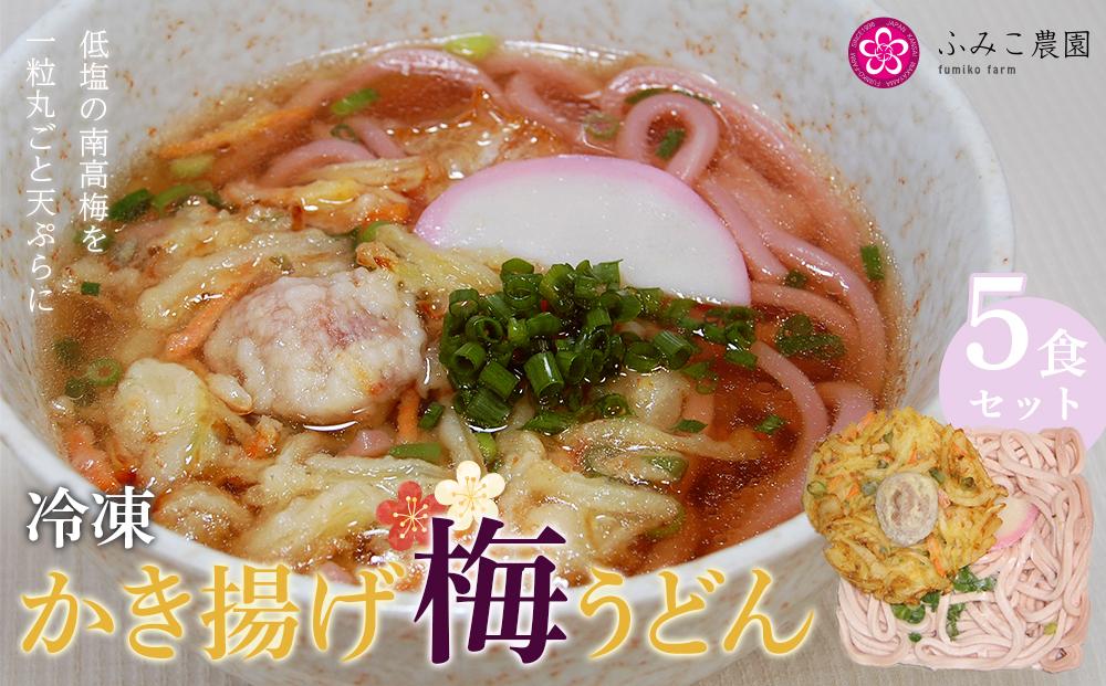 冷凍　かき揚げ梅うどん５食 T154