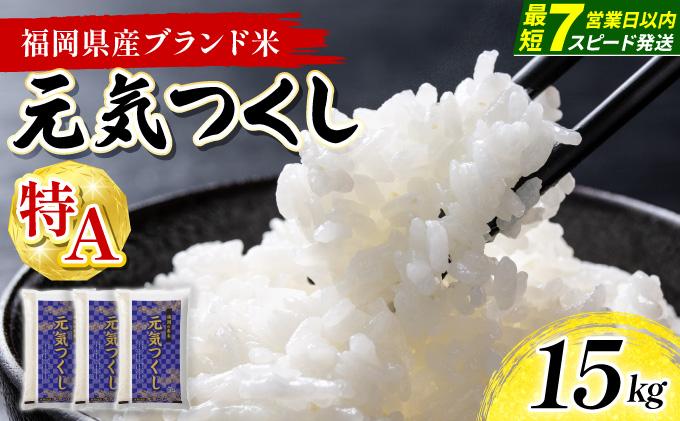 【最短7営業日以内発送】福岡県産米 元気つくし 15kg 令和7年産 ※北海道・沖縄・離島は配送不可【精米 7年産 国産 福岡県産 お米 ブランド米 15kg げんきつくし】 CY013 15kg（5