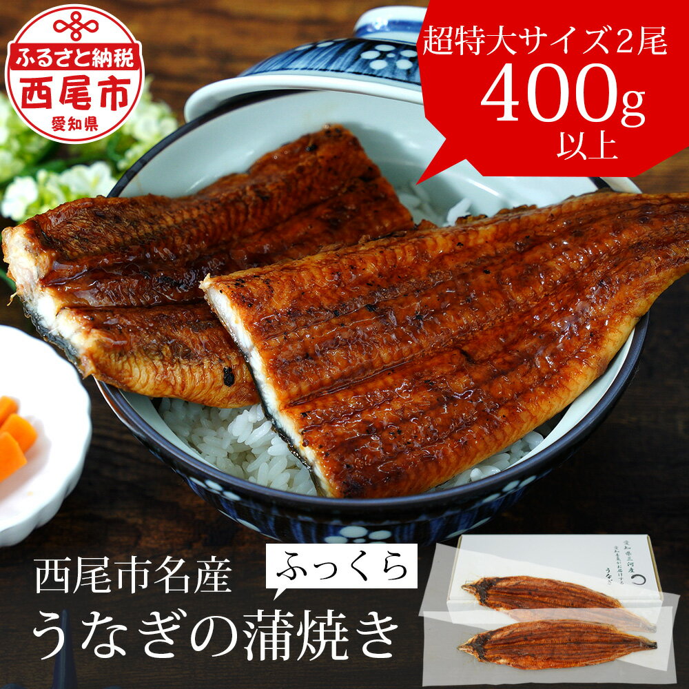 【ふるさと納税】うなぎ 三河産 超特大 うなぎ 蒲焼 2尾（2尾合計400〜420g）A090-15-1【冷凍便】うなぎ 国産 三河産 日本産 愛知県産 鰻 蒲焼き 特大 タレ付き たれセット さんしょう 鰻の蒲焼き 西尾市 食品 食べ物 おかず MB
