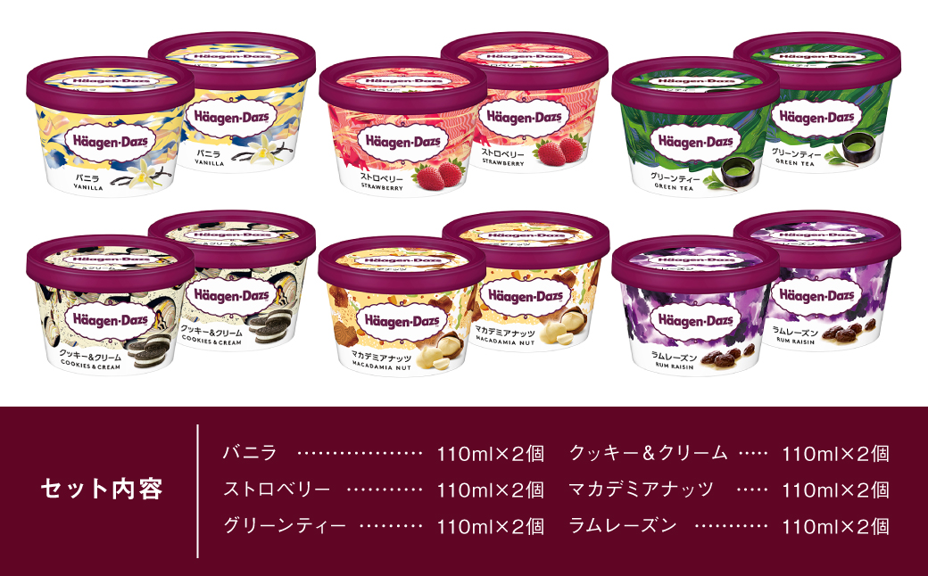 【着日指定できます】ハーゲンダッツ『ミニカップ12個セット（定番フレーバー＆ラムレーズン味）』アイスクリーム アイス スイーツ デザート_H0016-113