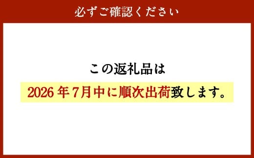 ＜宮崎県産ライチ1kg＞