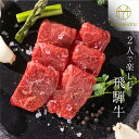 【ふるさと納税】【食べ方・シーンを選べる】2人で楽しむ飛騨牛 350g 焼肉 すき焼き しゃぶしゃぶ 黒毛和牛 和牛 国産 ギフト 贈答 贈り物 美味しい 贈答用 ブランド牛 お中元 化粧箱 冷蔵 送料無料 日時指定 のし対応［Q2068］20000円 2万円