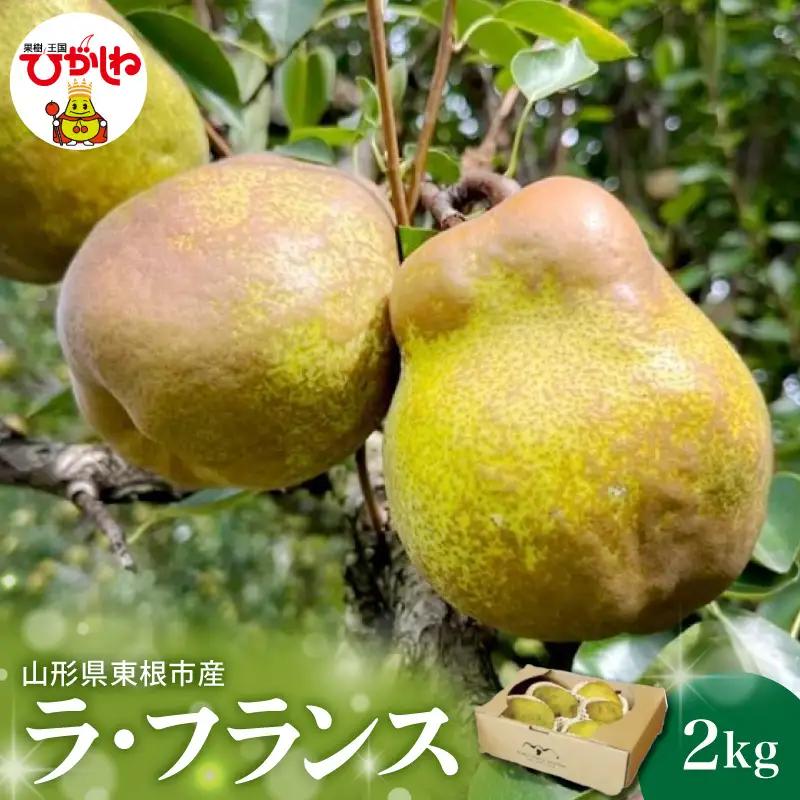 2026年産 西洋梨 ラ・フランス 2kg 洋なし ラ・フランス