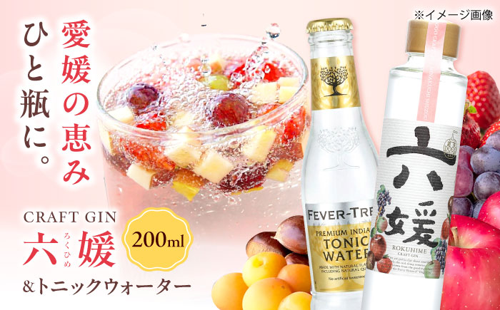 クラフトジン 道後ジン 六媛 200ml×1本・トニック 200ml×2本 セット / クラフトジン ジントニック セット 飲み比べ スピリッツ / 愛媛県砥部町/水口酒造株式会社 [BJAI001]