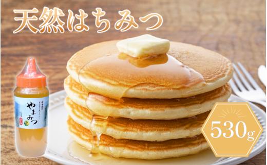 はちみつ山都物語(ボトルタイプ)530g