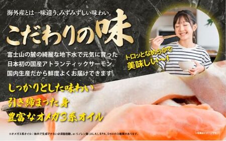 国産 アトランティック サーモン （ アラ × 2パック 約500g ） サーモン