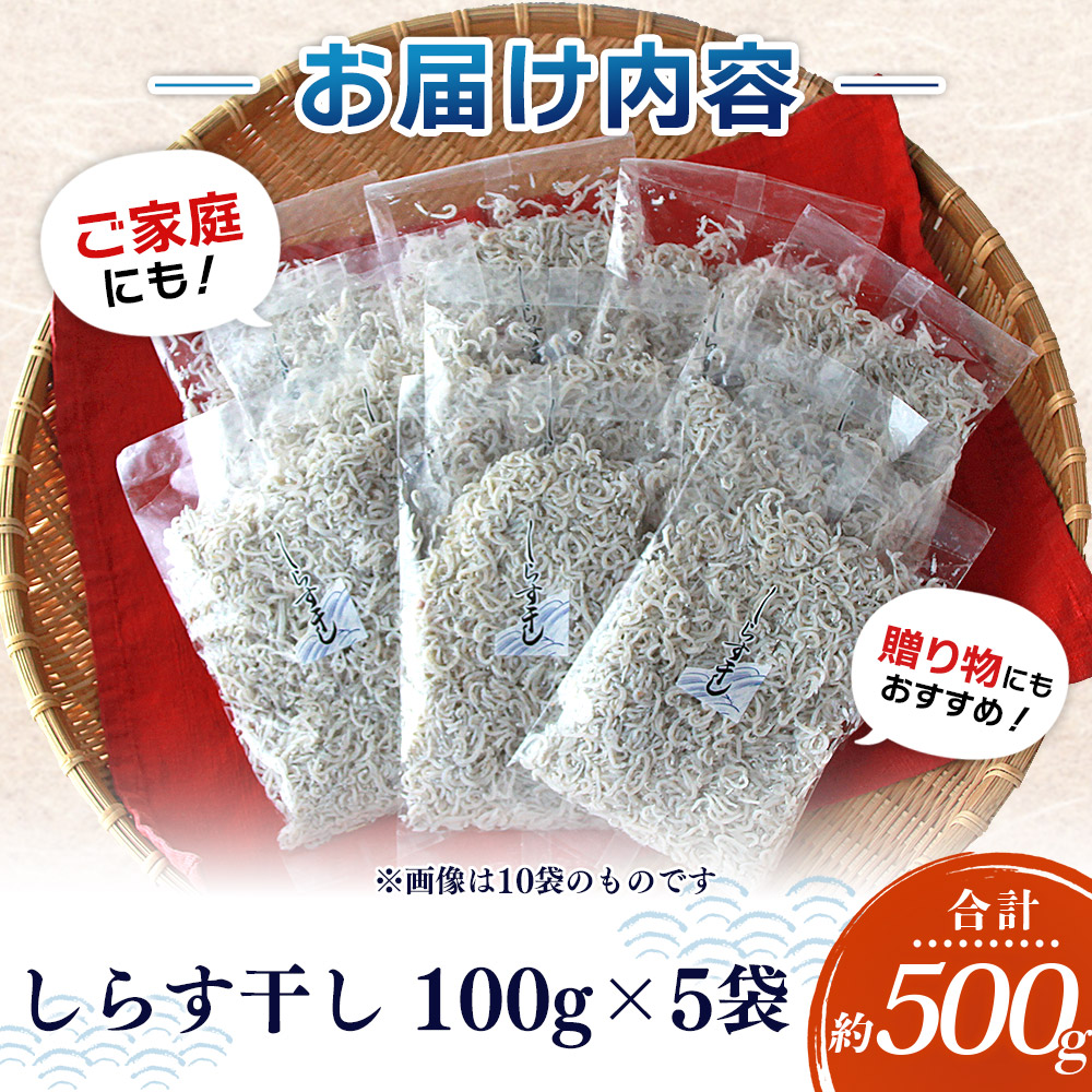 ＜漁師さん自慢のしらす干し 合計500g（100g×5パック）＞ シラス 魚介類 さかな 海産物 海鮮 海の幸 小分け 国産 ご飯のお供 丼 おつまみ 晩酌 おかず おやつ 特産品 産地直送 濵田水産