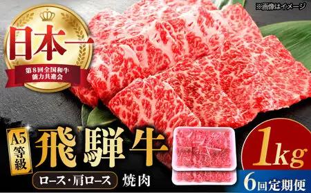 【6回定期便】 飛騨牛 ロース・肩ロース 1kg A5等級 [TAZ036] 肩ロース 焼肉用