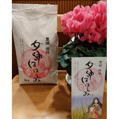 ふるさと納税 田原市 愛知県田原市産「女神のほほえみ」5kg精米