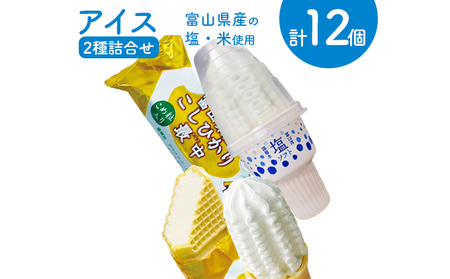 アイス詰合せ 塩ソフト こしひかり最中 横山冷菓 アイス詰合せ【計12個】