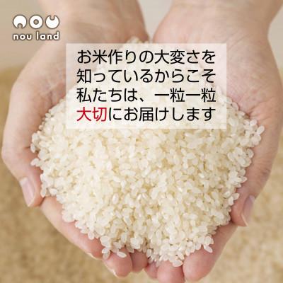 ふるさと納税 十日町市 【令和7年産 予約】 農家直送 魚沼産 コシヒカリ 特別栽培米 25kg 十日町市 のうランド |  | 01