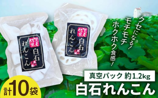 【お手軽調理！】白石町産 水煮れんこん 120g×10袋（カット有り/真空パック）【有限会社白石開発】 [IBN004]