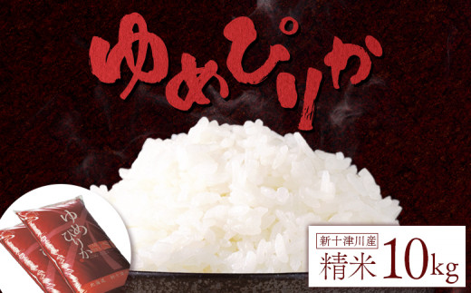 《先行受付》 【令和7年度産】 ゆめぴりか 精米 10kg ｜ オンライン 申請 ふるさと納税 北海道 新十津川 北海道産 米 ブランド ブランド米 お米 北海道米 道産米 道産 ご飯 ごはん 美味しい ギフト  贈り物 プレゼント お取り寄せ 新十津川町【1101304】