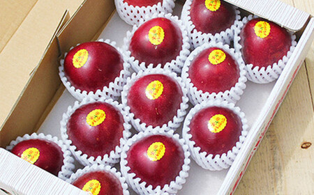 熊本県産 パッションフルーツ 約1キロ前後 果物 フルーツ パッションフルーツ 冷蔵便 熊本県産 【2026年7月上旬発送開始】