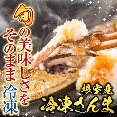 ふるさと納税 根室市 【北海道根室産】冷凍さんま5尾×6P(計30尾) B-76001 |  | 01