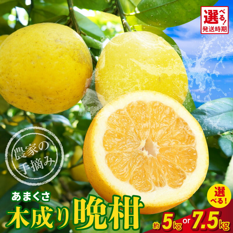 【ふるさと納税】晩柑 柑橘 木成り晩柑 選べる 約5kg / 7.5kg 大小混合 農家 手摘み さっぱり 甘さ 果肉 ジューシー 薄皮 剥いて 冷しても 美味しい 家庭用 フルーツ 果物 お取り寄せ お取り寄せグルメ 熊本県 天草市 送料無料