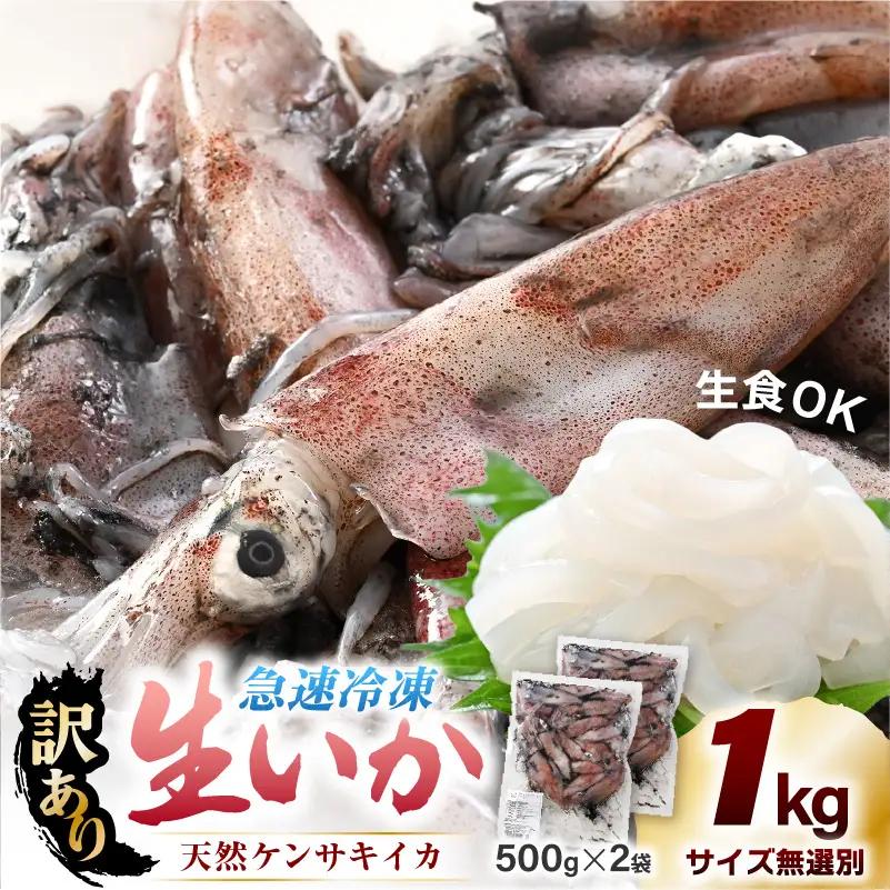【ふるさと納税】【急速冷凍】【訳あり】生いか 天然ケンサキイカ サイズ無選別 1kg（500g × 2袋） [e15-a062]
