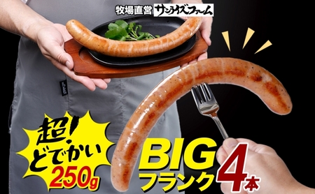 BIGバリューフランク 4本セット 25cm 豚肉 フランクフルト ウィンナー ビッグサイズ 大きい 肉厚 ジューシー 夕食 ご飯 おかず おつまみ バーベキュー BBQ 送料無料 日本ふるさと創生株式会社（サンライズファーム） 千葉県 香取市  SRF002