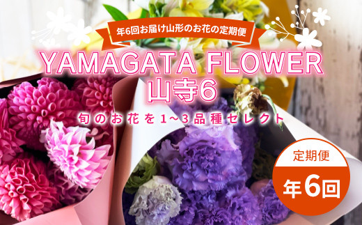 
年6回お届け山形のお花の定期便 YAMAGATA FLOWER 山寺6 F2Y-3726
