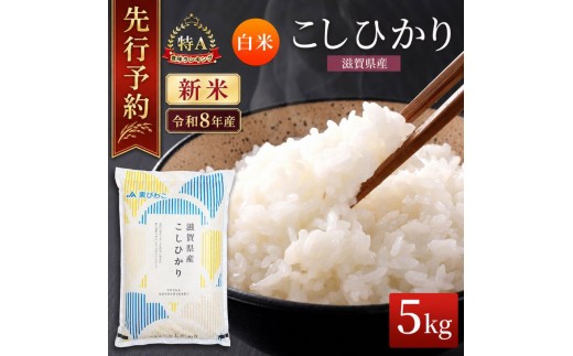 
                  【令和8年産】 米 コシヒカリ 白米 5kg 先行予約 新米 こしひかり 精米 こめ コメ お米 ご飯 5キロ 度産 令和八年 令和八年産 滋賀県 豊郷町
                