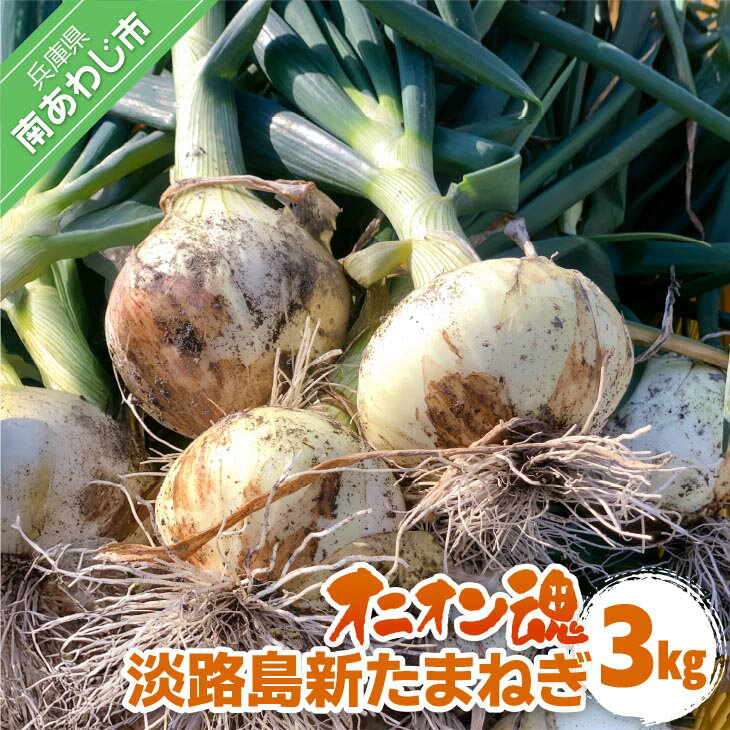 【ふるさと納税】【オニオン魂】 淡路島新たまねぎ　3kg　◆配送3月上旬～