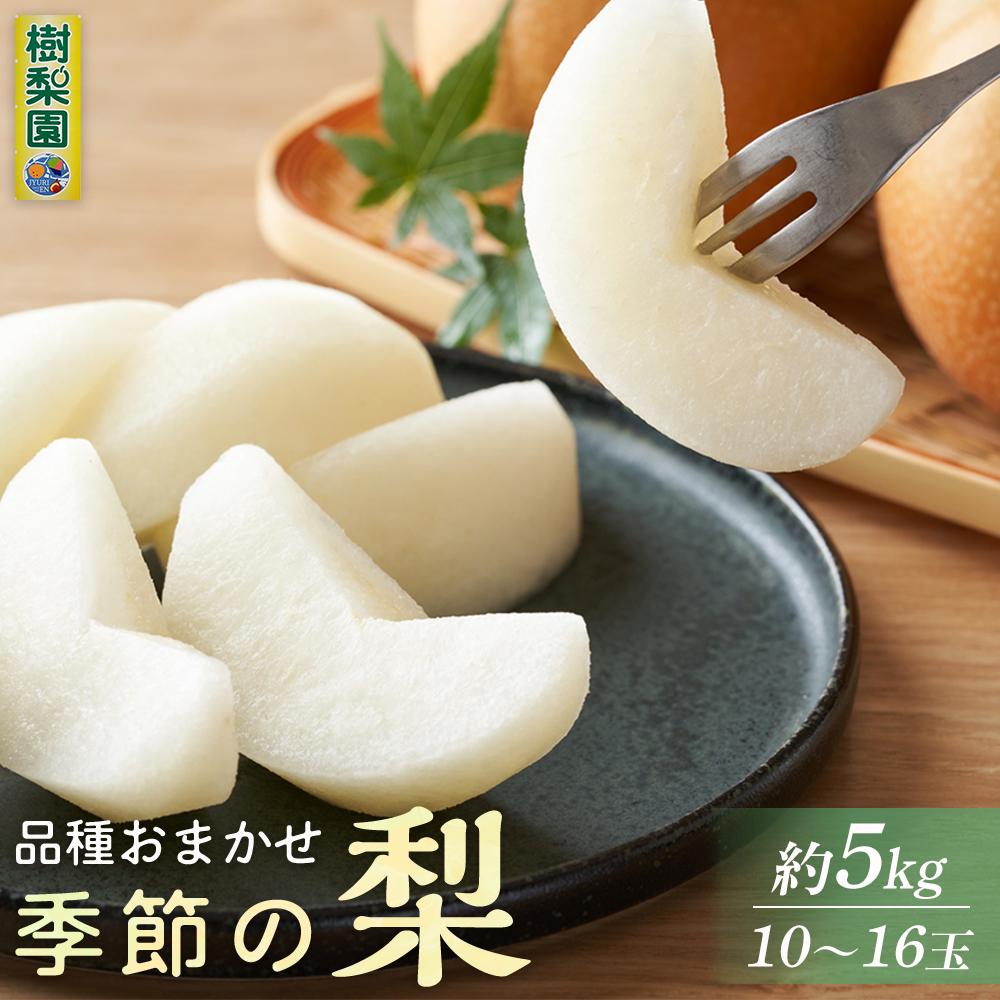 【ふるさと納税】季節の梨 約 5kg (10～16玉) 品種おまかせ 豊水 秋月 新興 | なし フルーツ 果物 旬の梨 産地直送 直送 筑前町産 おすすめ 人気 美味しい お取り寄せ 楽天ふるさと納税 送料無料