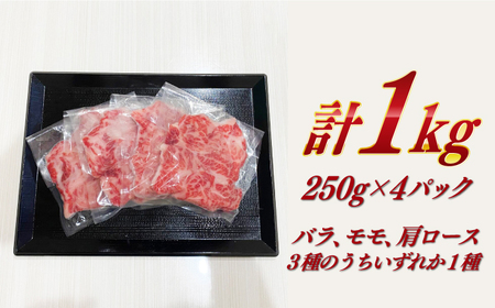 【訳あり】 長崎和牛（A4ランク以上）1kgバラ切り落とし 250g×4P 小分け 【株式会社時愉亭】[RCE009]