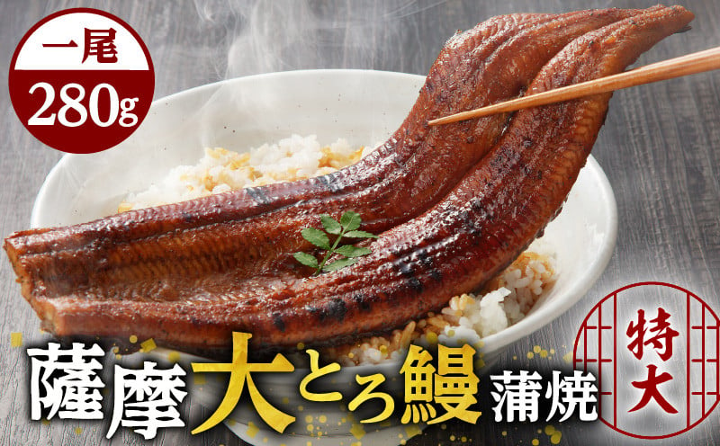 
薩摩大とろ鰻蒲焼特大サイズ一尾　K190-002
