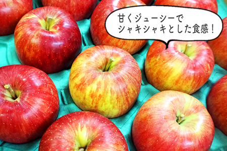 【2025年10月～11月発送分先行受付】山形のりんご（シナノスイート）約5kg_H076(R7)