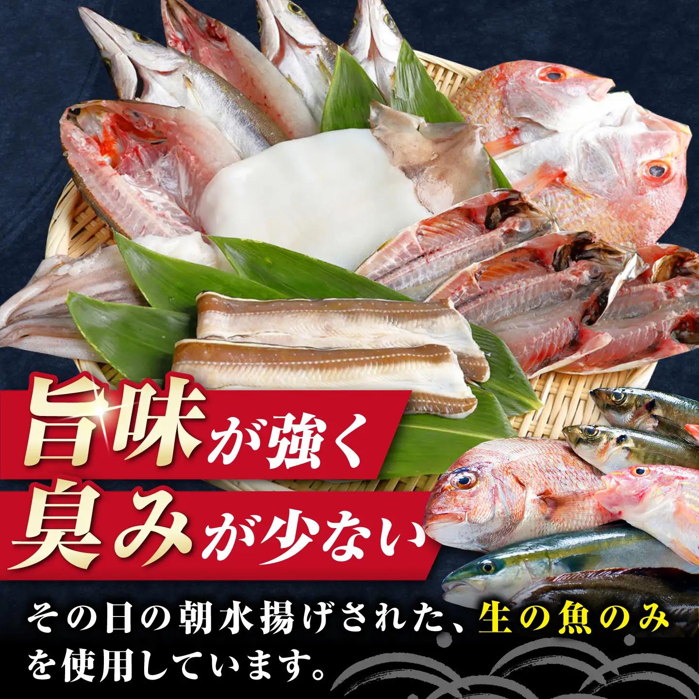 対馬産 旬の地魚 干物 5種 セット 直送 旬 ひもの 朝食 イカ サバ  [WAH024]