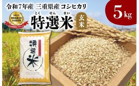 令和7年産 特選米 コシヒカリ玄米 5kg MK8