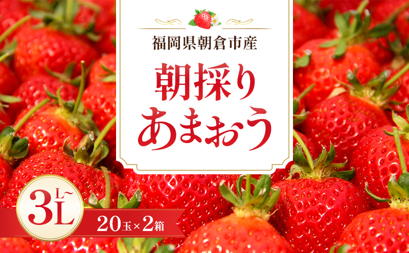 いちご 朝倉市産 あまおう L～3L 20玉×2箱 イチゴ 苺 果物 デ