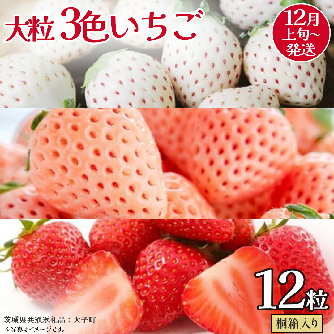 【ふるさと納税】桐箱入り 大粒 3色いちご 12粒【2025年12月上旬発送開始】(茨城県共通返礼品：大子町) いちご 苺 果物 フルーツ 果実