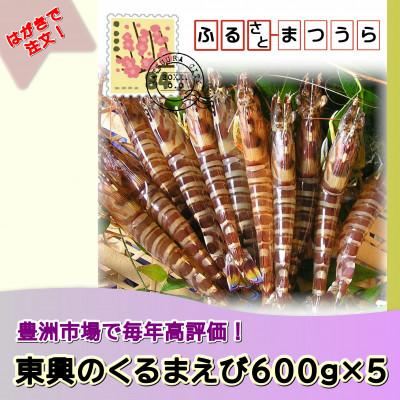 ふるさと納税 松浦市 お届けオーダーメイド!東興のくるまえび600g×5回